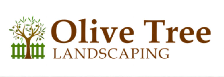 Olive Tree Landscaping